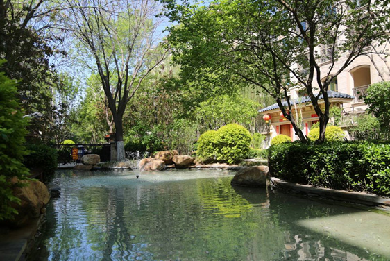 upay钱包集团